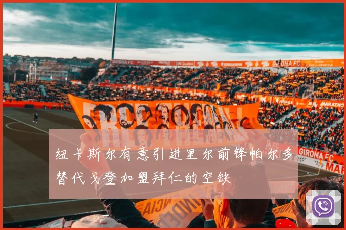 纽卡斯尔有意引进里尔前锋帕尔多替代戈登加盟拜仁的空缺