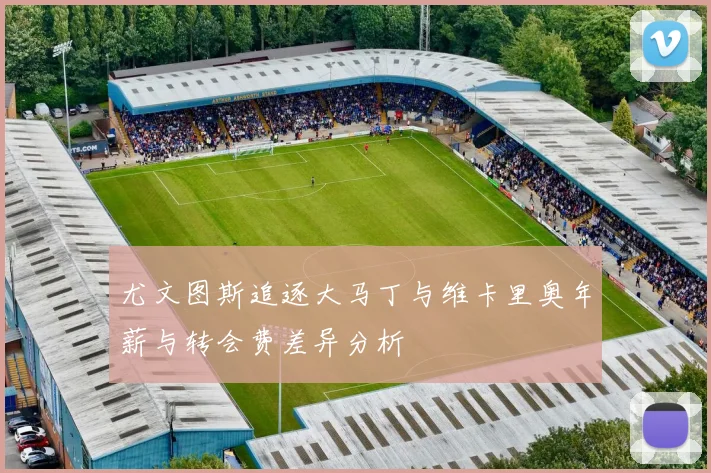 尤文图斯追逐大马丁与维卡里奥年薪与转会费差异分析
