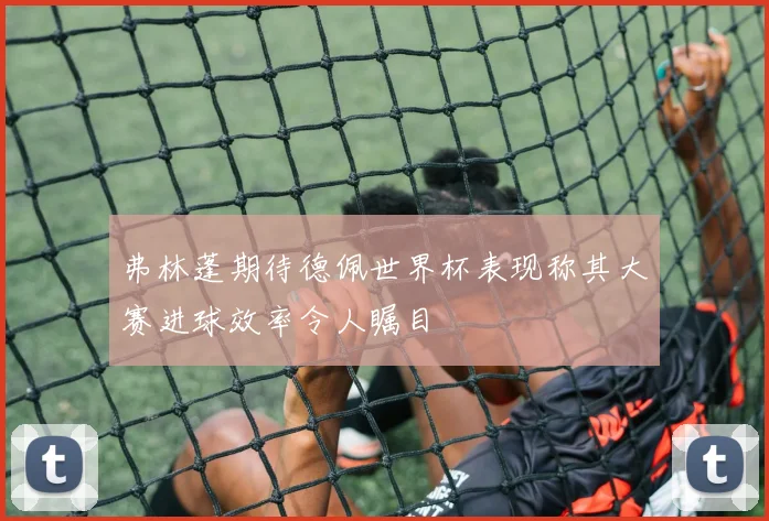 弗林蓬期待德佩世界杯表现称其大赛进球效率令人瞩目